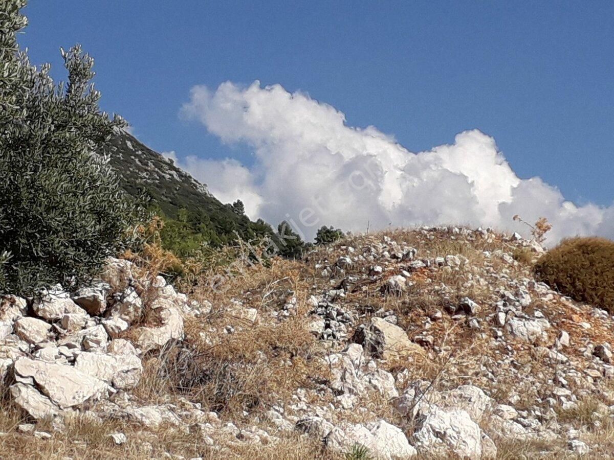 İlan Fotoğrafı